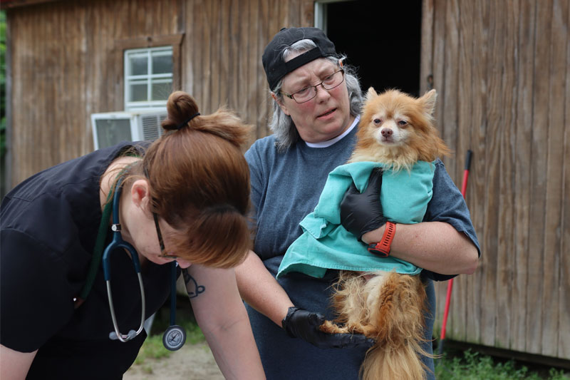 Rescuers from the Atlanta Humane Society process a dog