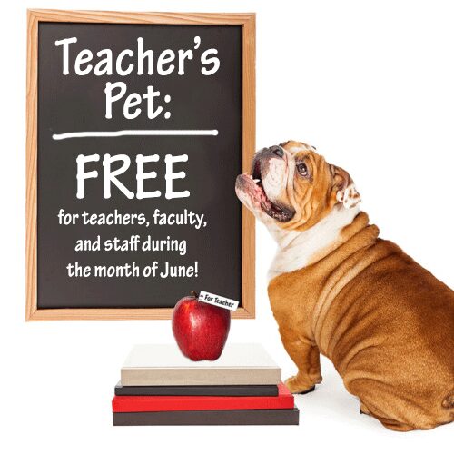 Pets for Educators: Free Pet Adoption for Teachers, Faculty or Staff
