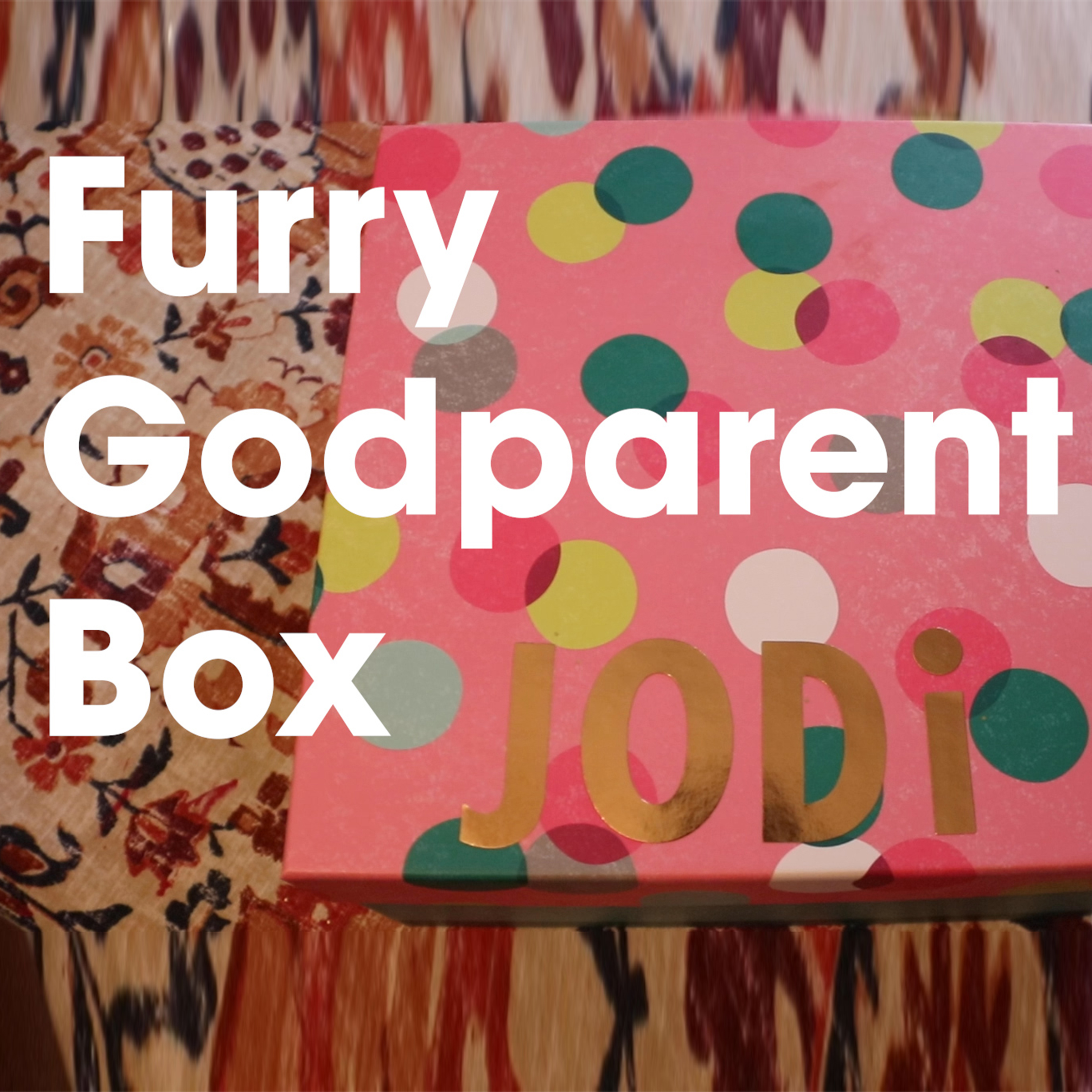 Furry Godparent Box