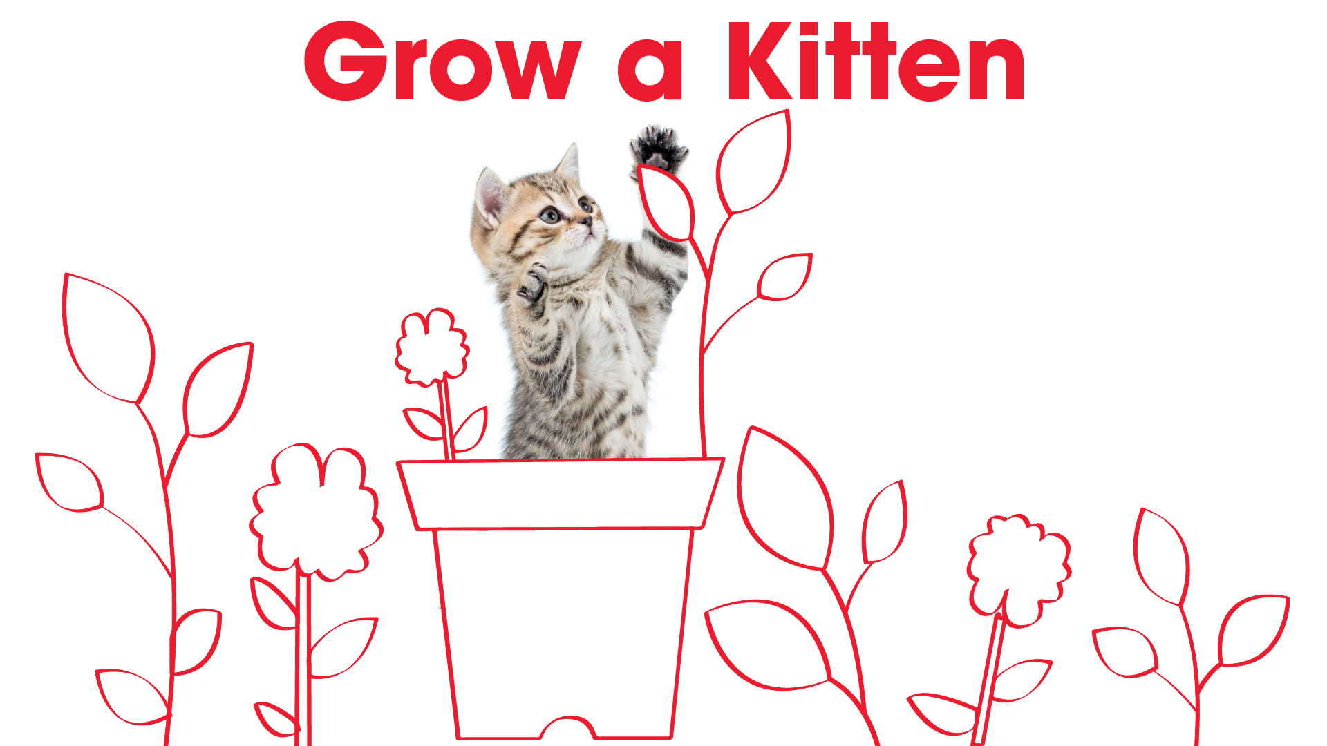 Real kitten in a drawn flower pot