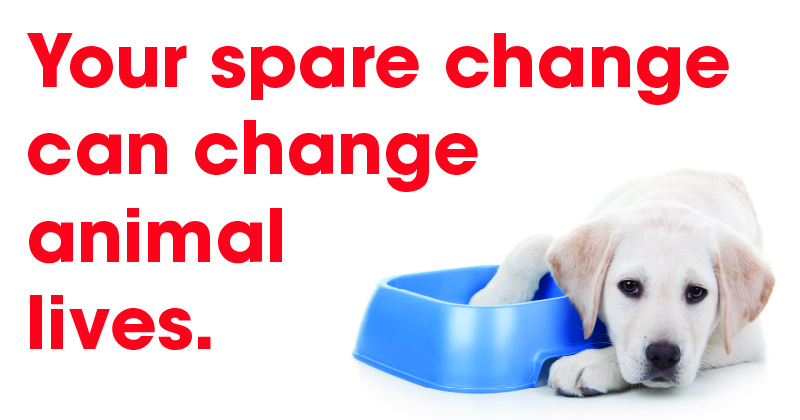 Your spare change can change lives