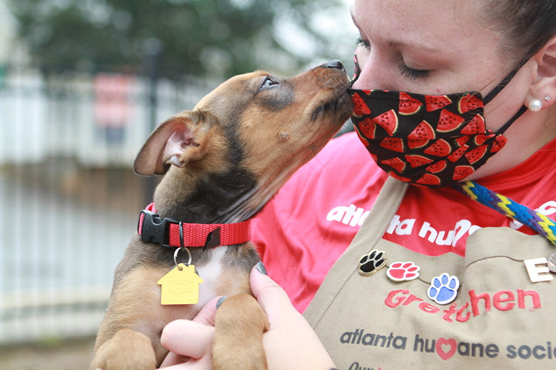 Lady wearing a mask kissing a puppy