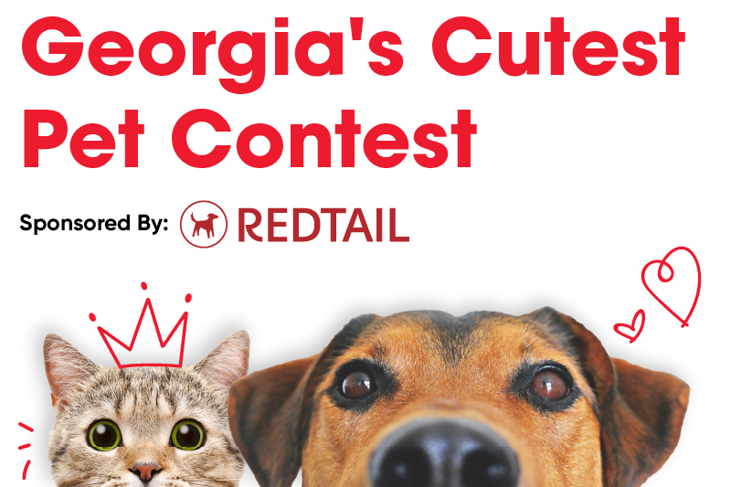Georgias Cutest Pet Blog 800x533 1