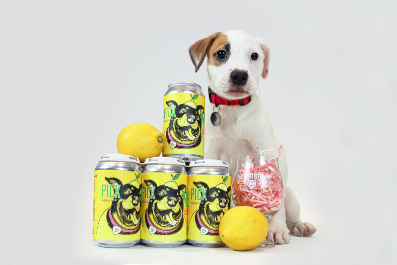 White and tan puppy sitting with Pick Me lemon sour ale beer