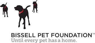bissell pet foundation
