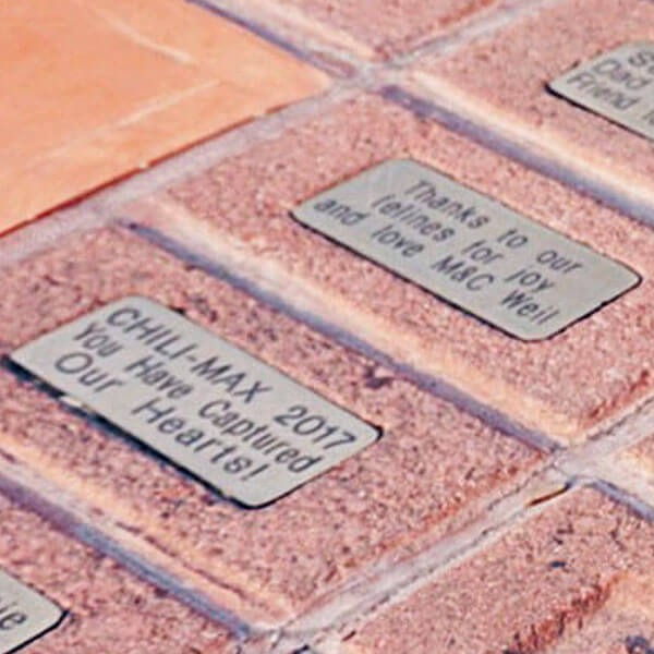 brick preview atlanta animal center