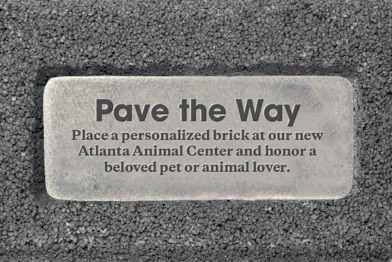 brick atlanta animal center blog