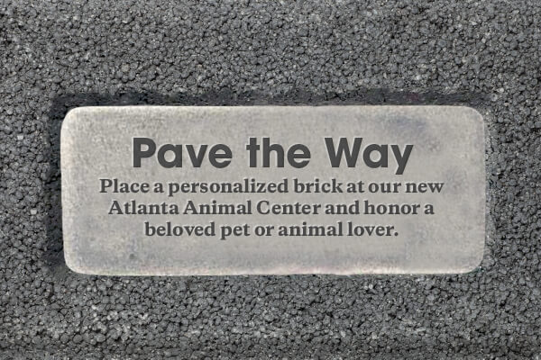 personalized brick atlanta humane lightbox