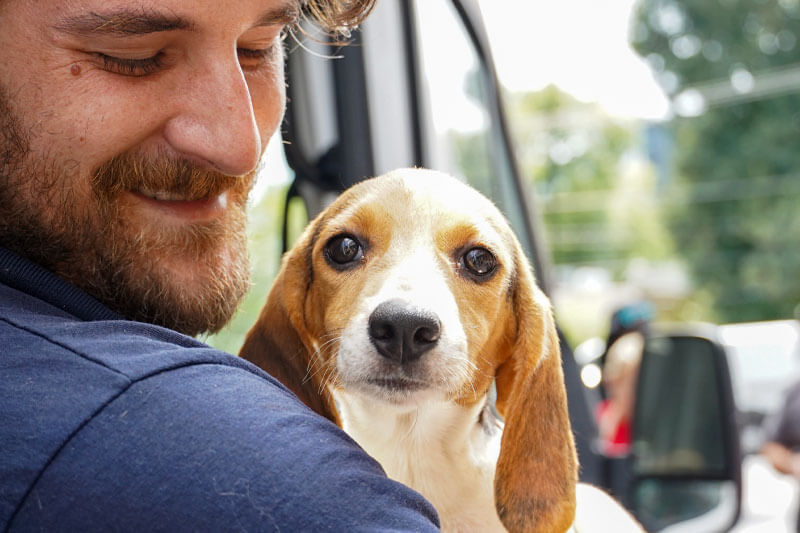 atlanta humane beagle transport puppy held blog