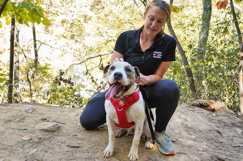 atlanta humane brock hike