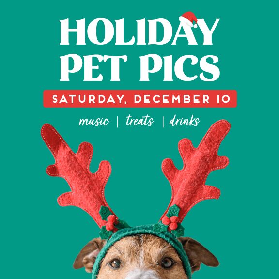 holiday pet pics