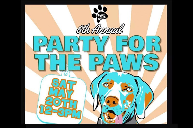 party for the paws