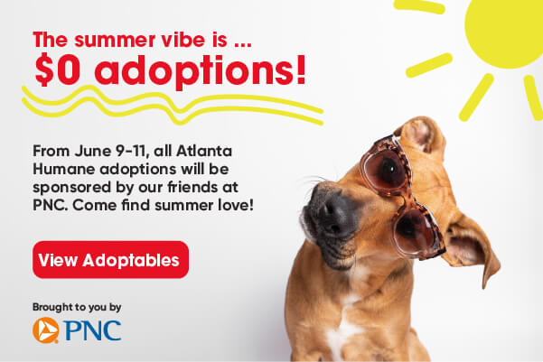 Adoption fees are $0 between now and June 11 thanks to our friends at PNC.