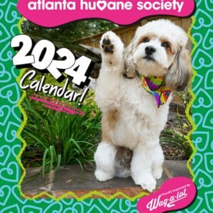 2024 calendar cover