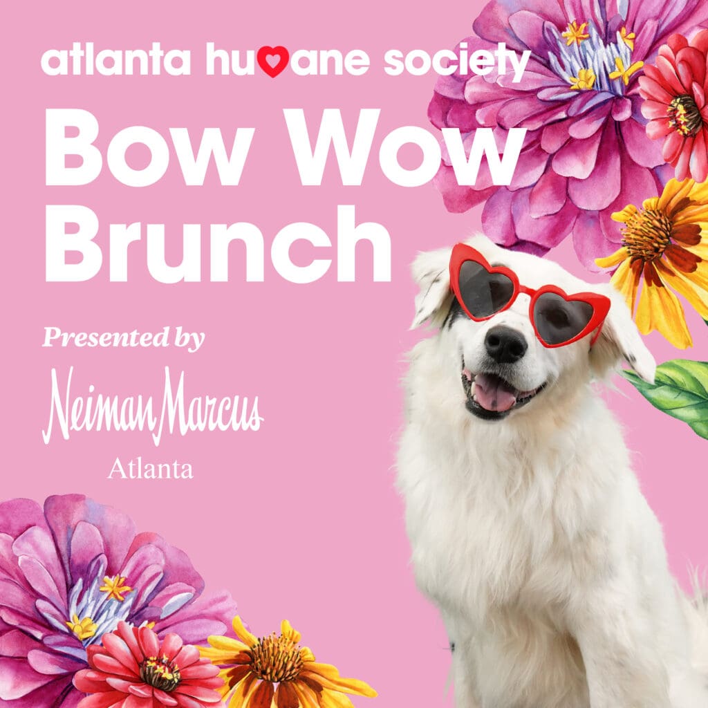 2024 Bow Wow Brunch Atlanta Humane Society