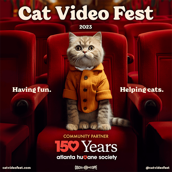 cat video fest