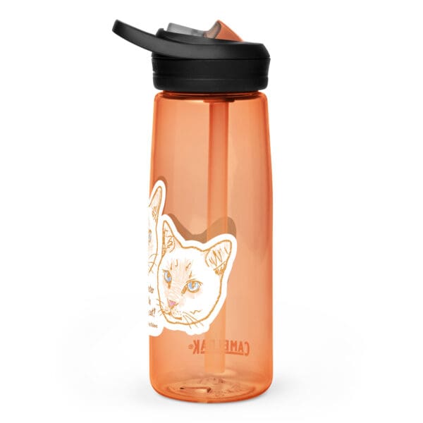 sports water bottle desert sunrise back 66db66c5bef59.jpg