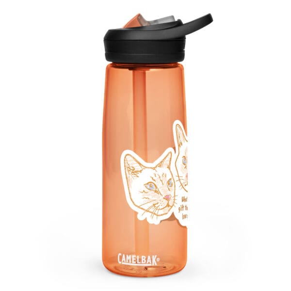 sports water bottle desert sunrise front 66db66c5bec21.jpg