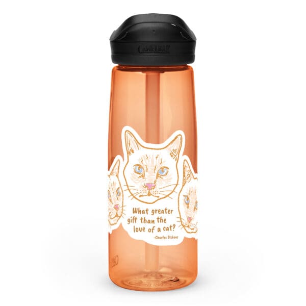 sports water bottle desert sunrise left 66db66c5bee08.jpg