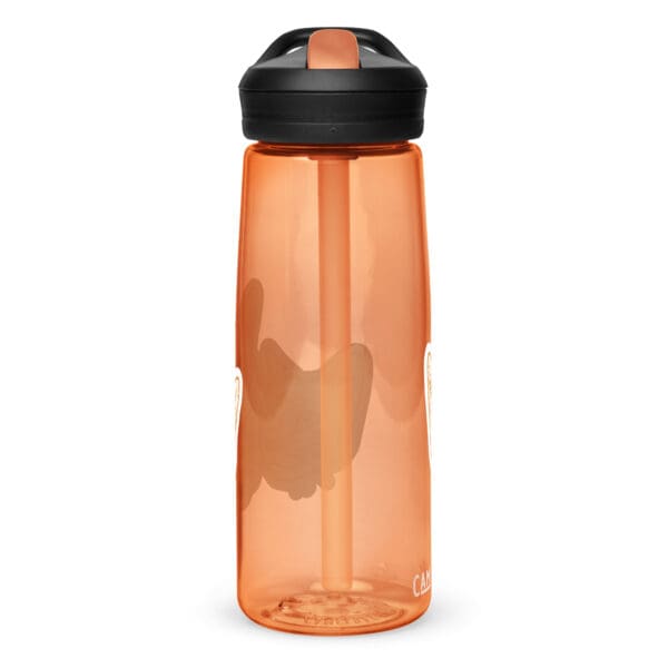 sports water bottle desert sunrise right 66db66c5becfb.jpg