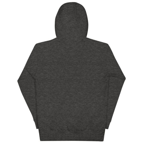 unisex premium hoodie charcoal heather back 66f558843f981.jpg