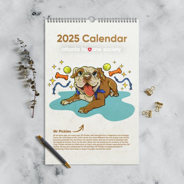 wall calendar 2025 start w sun 11x17 front 67436b53ba6bd.jpg