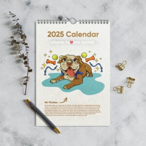 wall calendar 2025 start w sun 8.26x11.69 front 67436b53b9abf.jpg