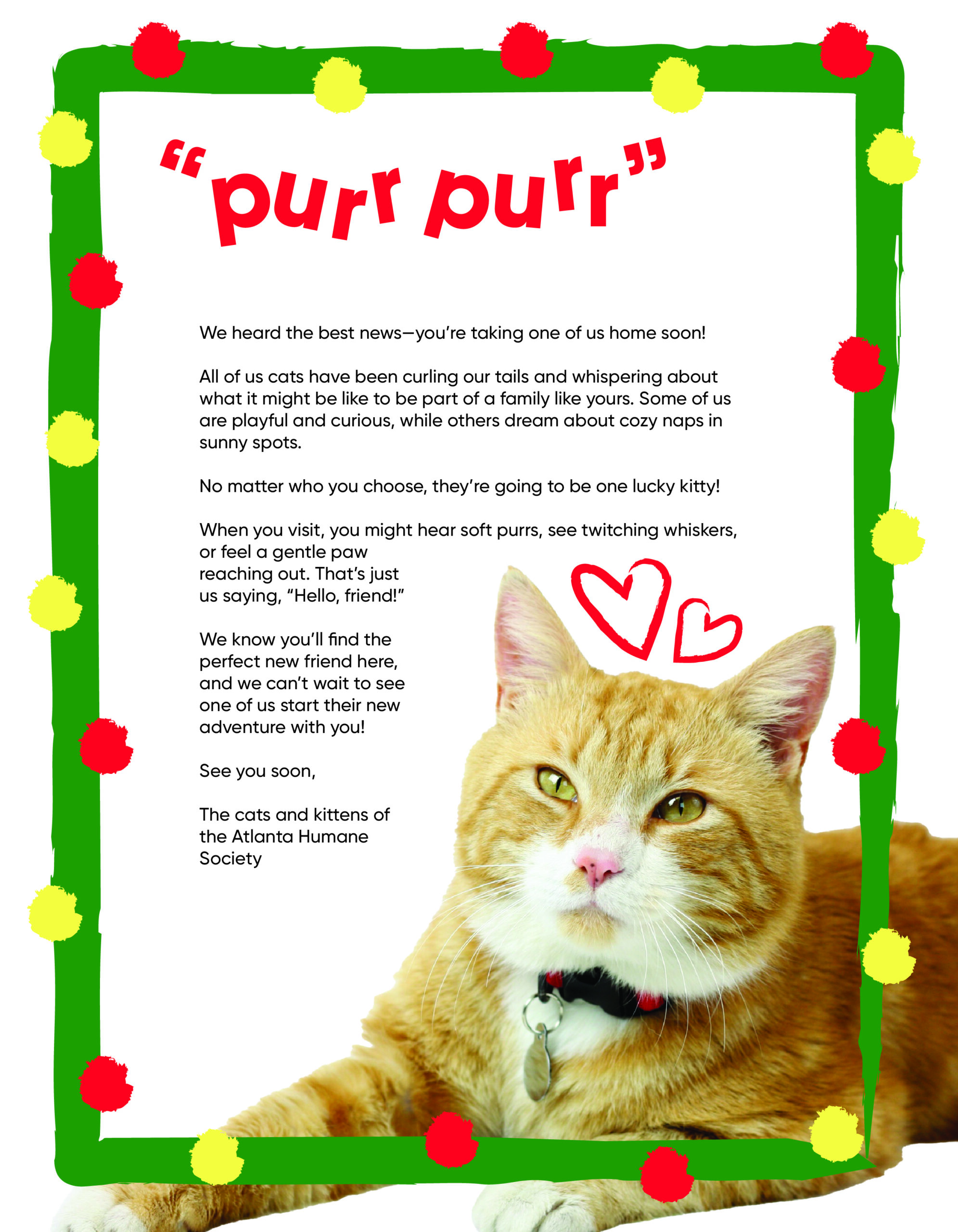 Holiday Adoption Letters Cat