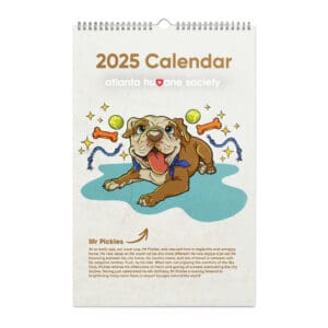 wall calendar 2025 start w sun 11x17 front 67531a822fec5.jpg