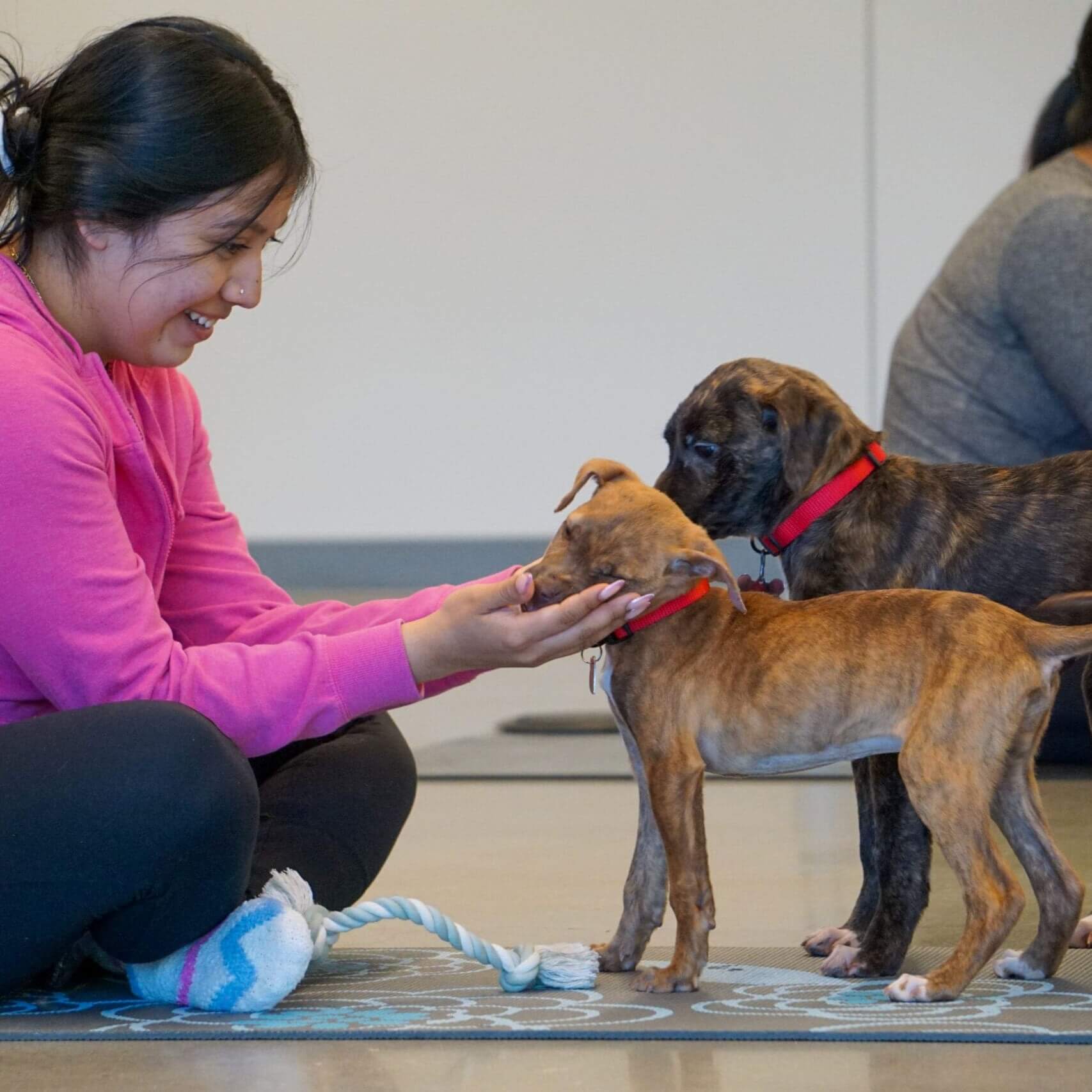 puppy yoga (1)