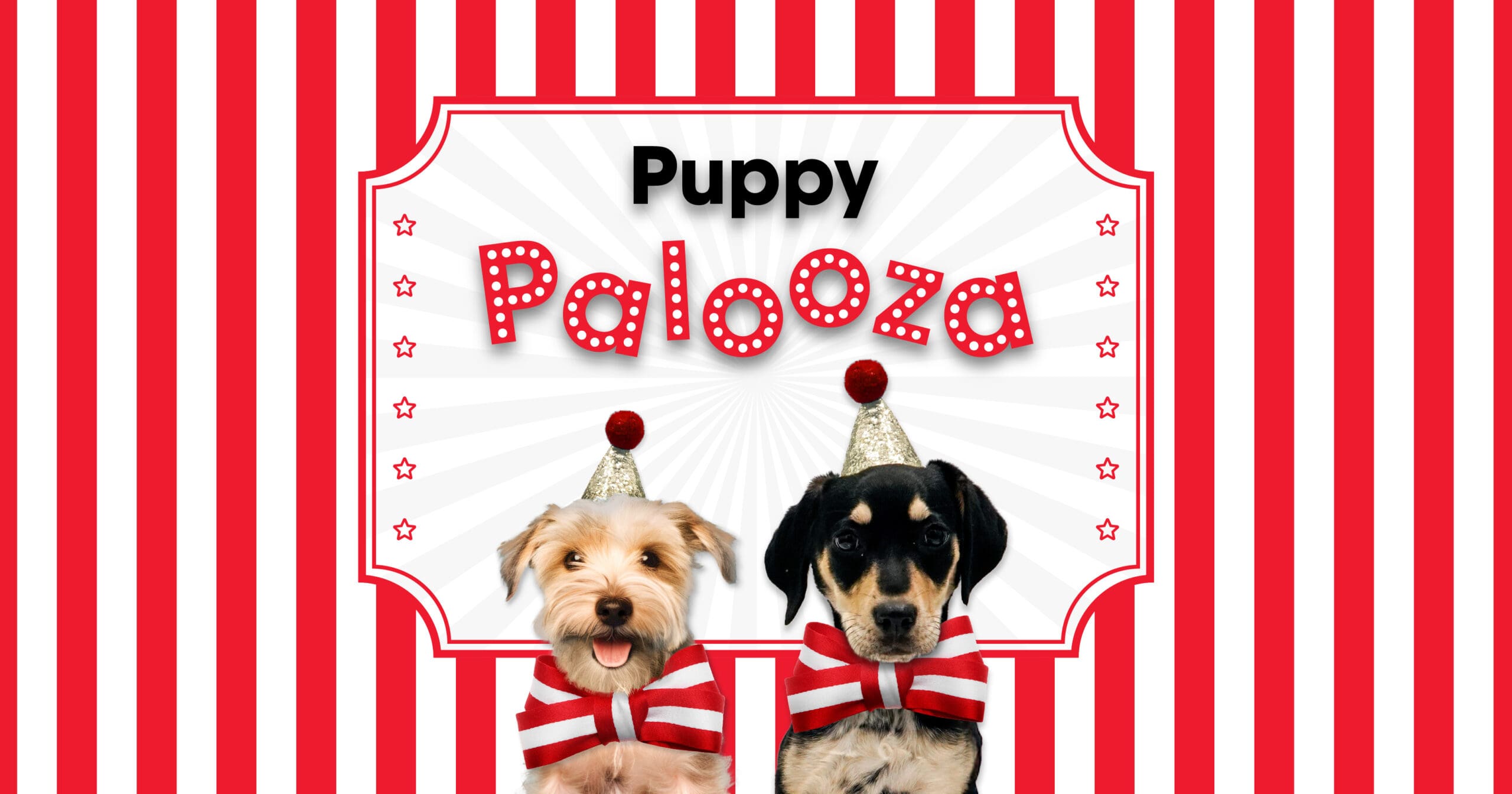 Puppy Palooza Web event (1)