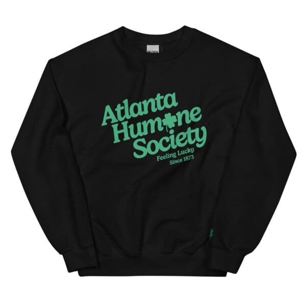 unisex crew neck sweatshirt black front 67c215d8c3f31.jpg