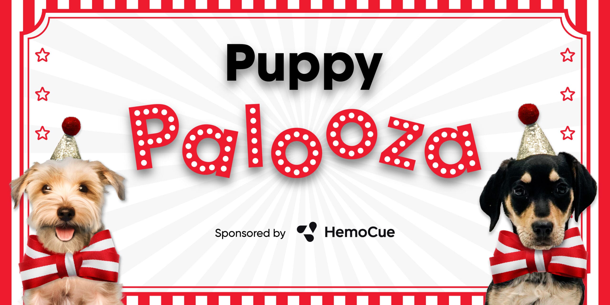 Puppy Palooza email (1)