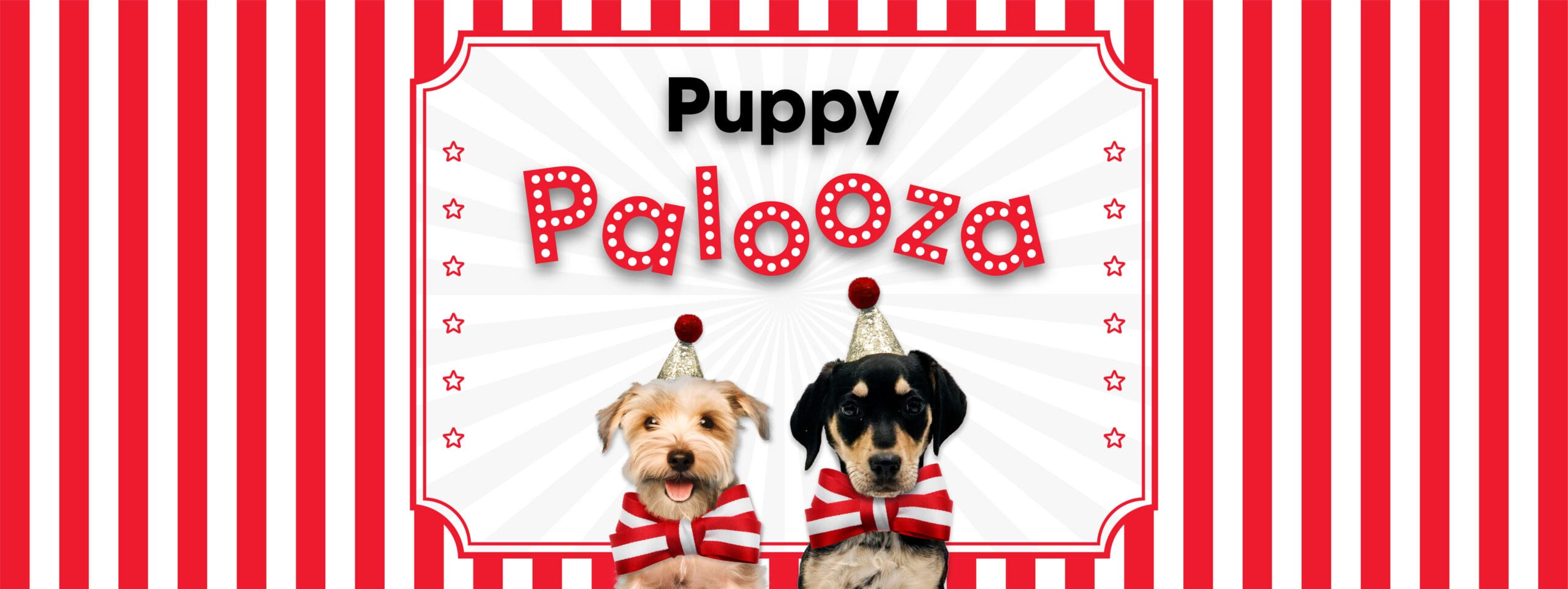 Puppy Palooza hero image