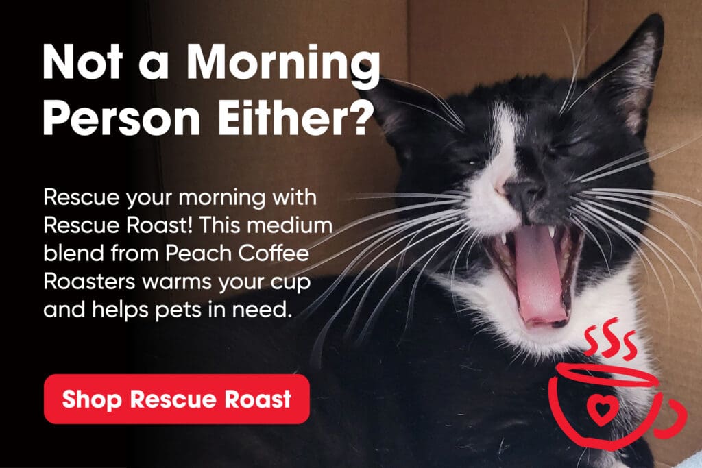 Rescue Roast lightbox