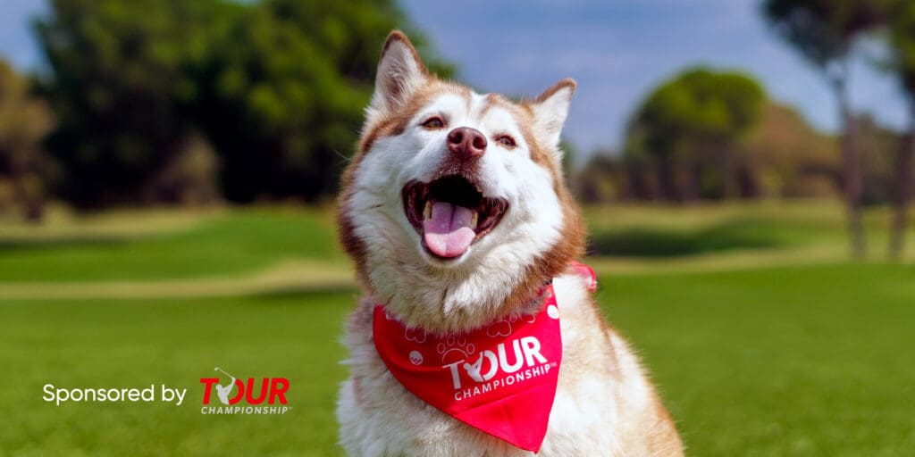 Pup Putt email
