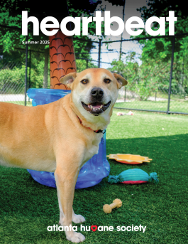heartbeat Summer 2025