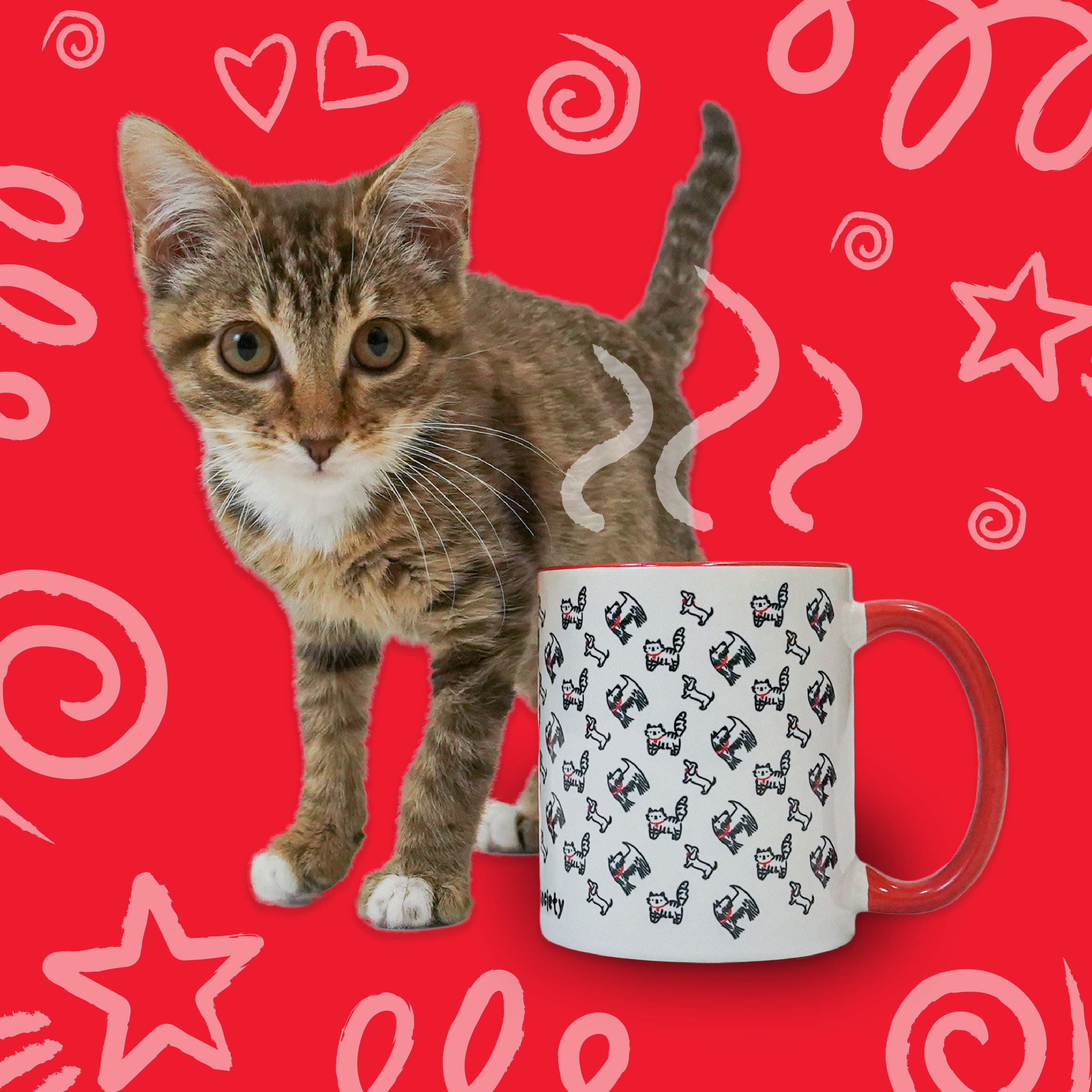 Mugs & Drinkware