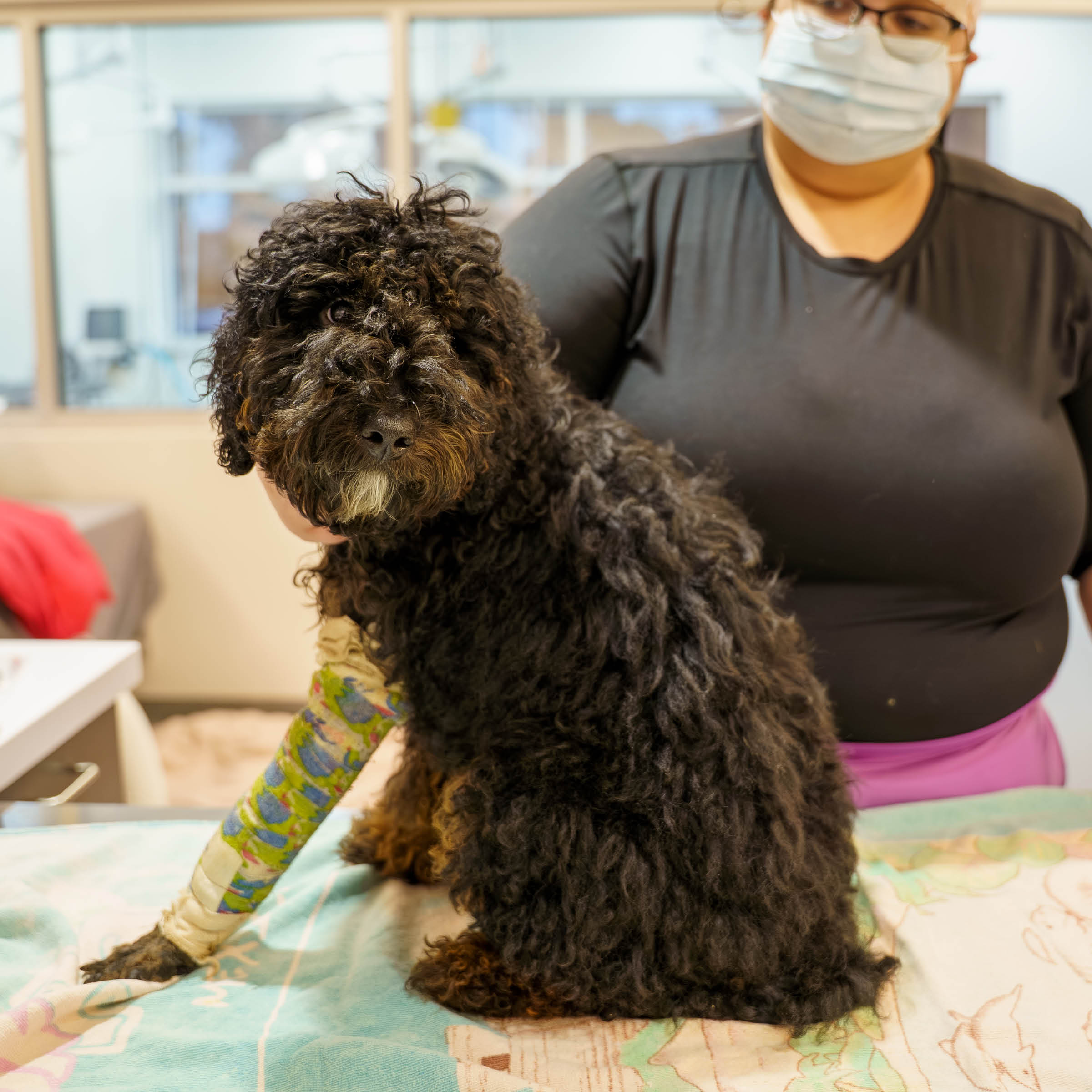 Onyx Xray Visit2