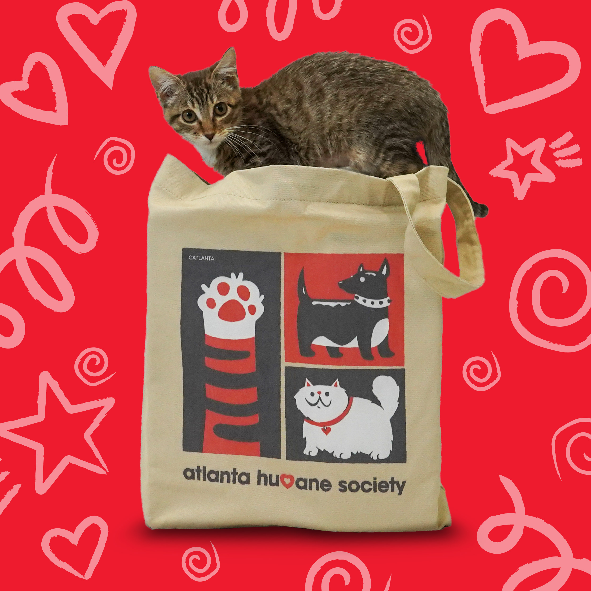 Tote Bags
