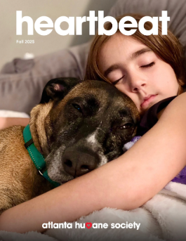 NOV HEARTBEAT RESIZE