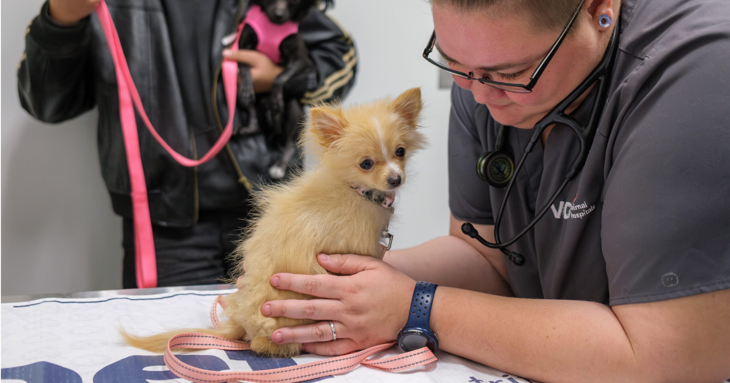 Tyler Allgeier Vaccine Clinic Web event