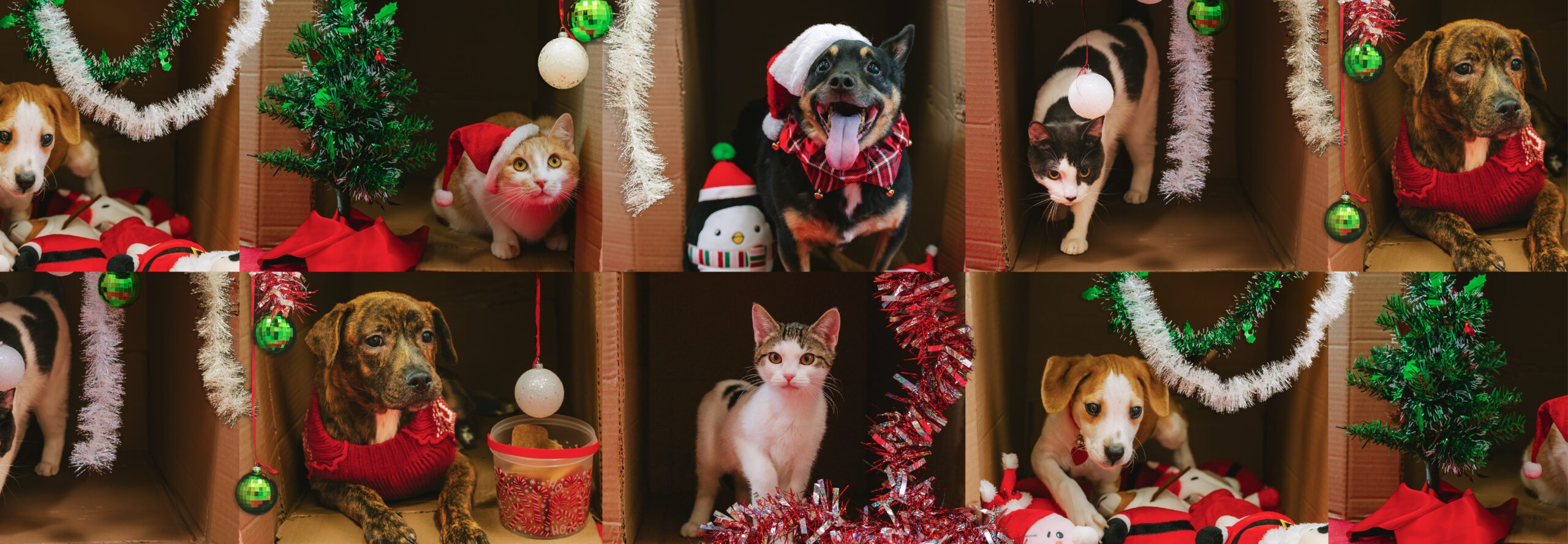 Secret Santa Hero Image