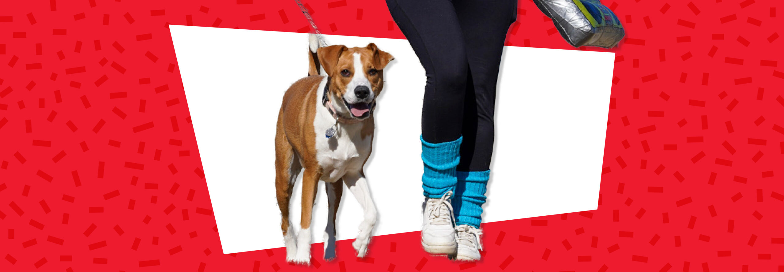 Quit the Gym, Walk a Dog Hero Image