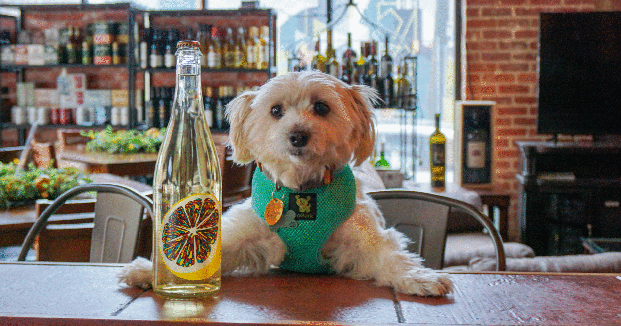 Marietta Wine Market