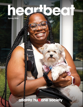 Heartbeat Covers Spring 2026 copy