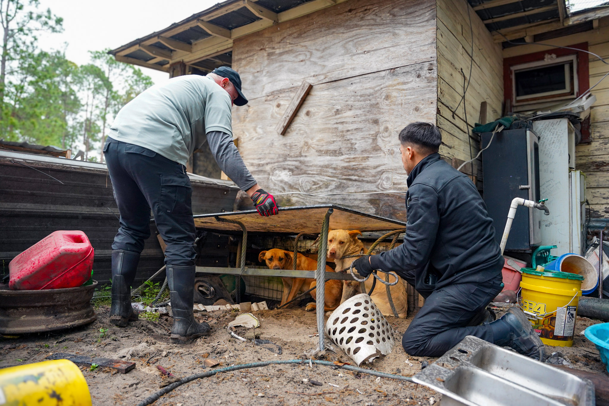 OPHedit ADSC08156