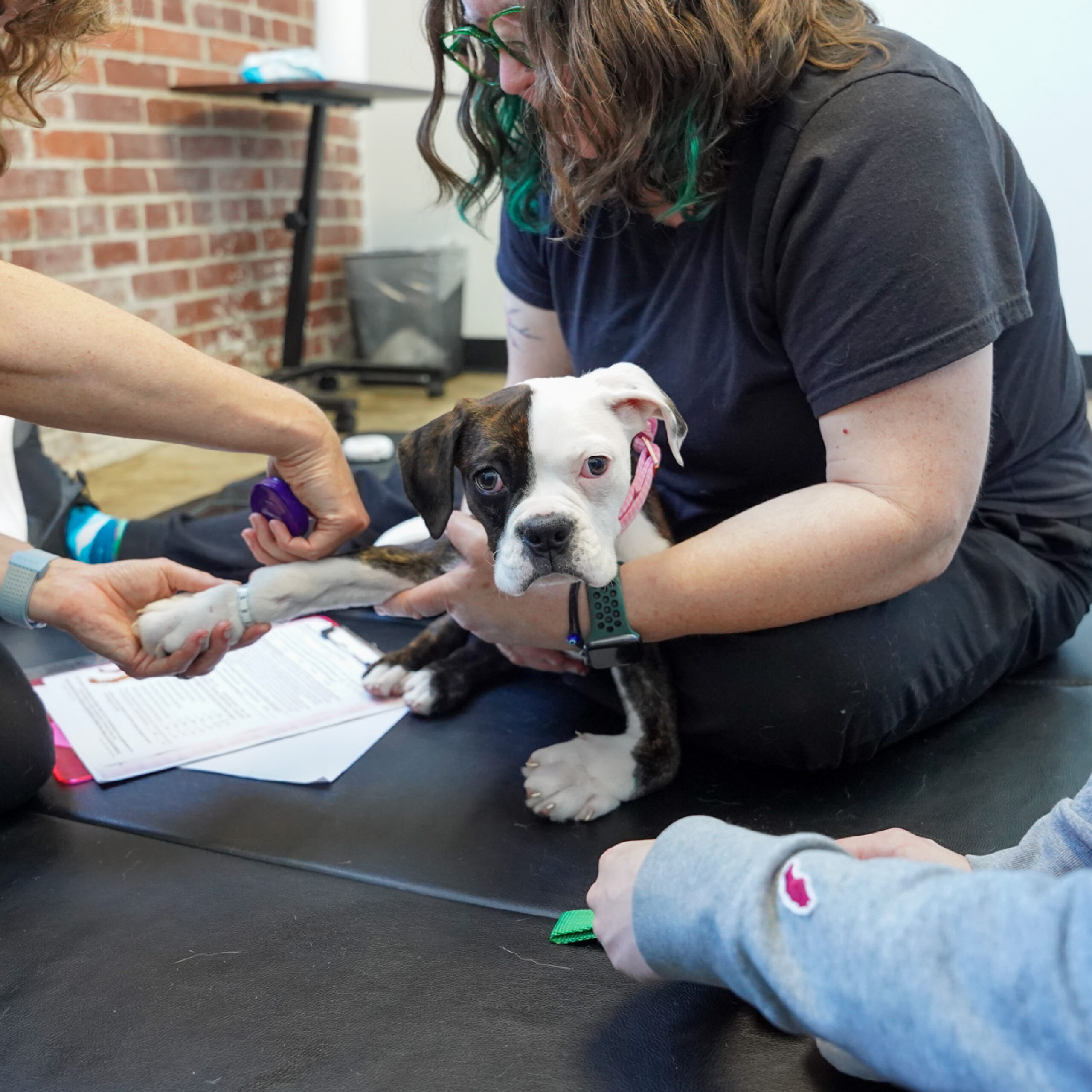 darla blog update 1